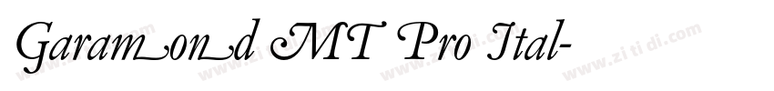Garamond MT Pro Ital字体转换 Garamond MT Pro Ital字体转换